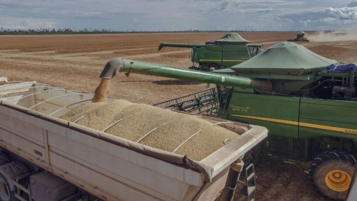 Soja recua em fevereiro e retorna aos níveis de 2024