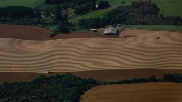 Colheita da soja no Paraná chega a 82% e safra pode bater recorde